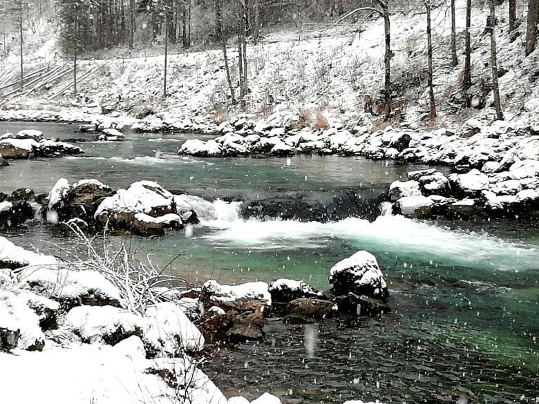 Penzion Black Sheeps Adventures Wildalpen Luaran gambar