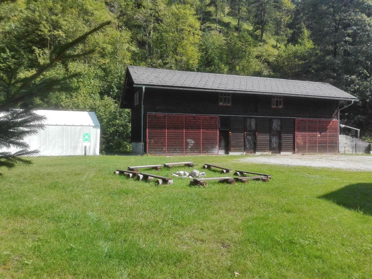 Penzion Black Sheeps Adventures Wildalpen Luaran gambar